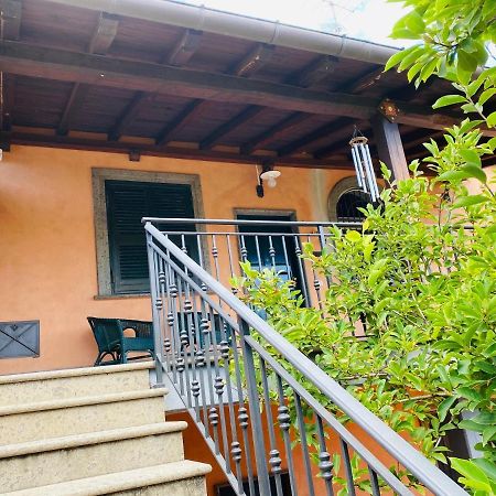 Villa Mariposa Nettuno Eksteriør billede