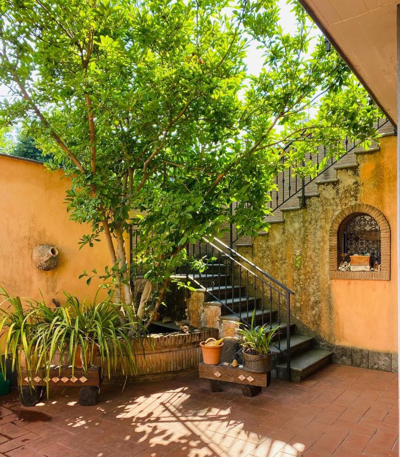 Villa Mariposa Nettuno Eksteriør billede