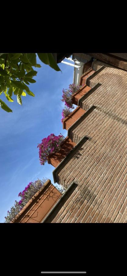 Villa Mariposa Nettuno Eksteriør billede