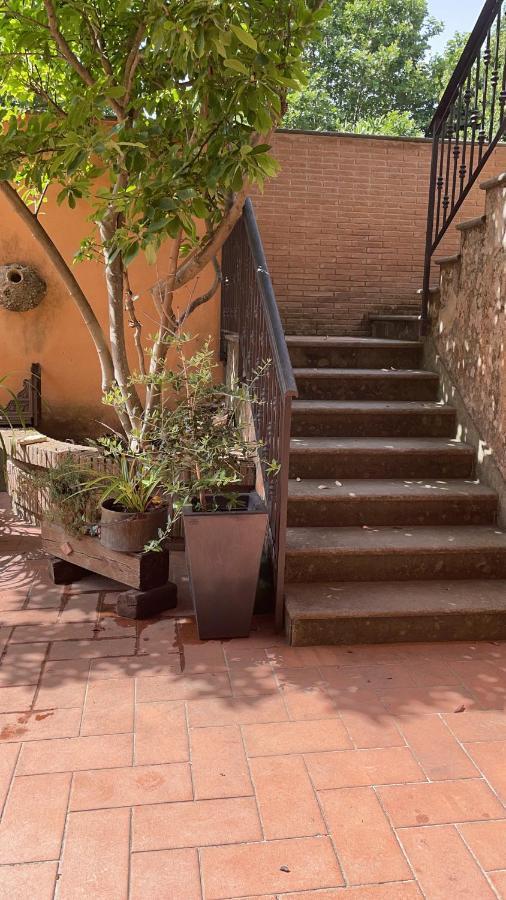 Villa Mariposa Nettuno Eksteriør billede