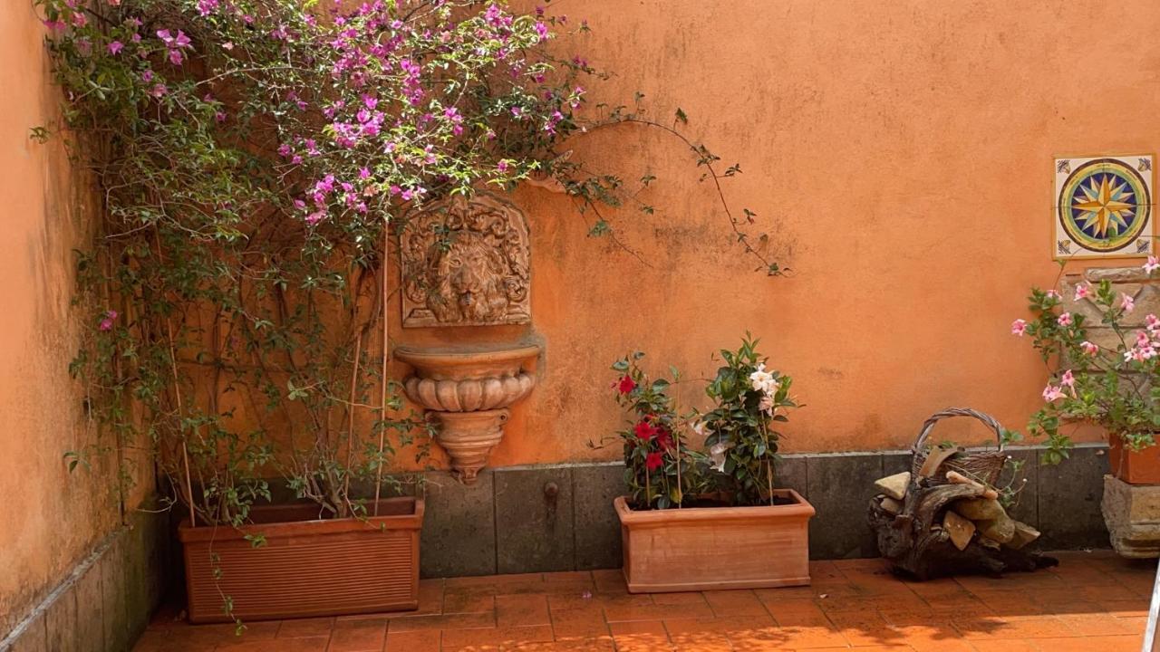 Villa Mariposa Nettuno Eksteriør billede